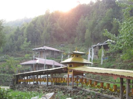 Orchid Wonders of Sikkim