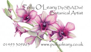 Polly DipSBA card